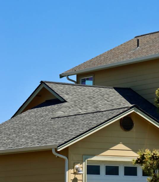 Professional Roofing Service in Alamo, TX